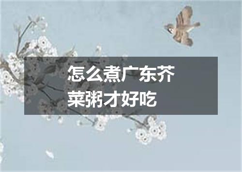 怎么煮广东芥菜粥才好吃