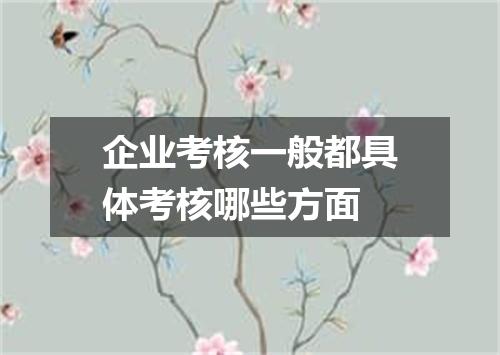 企业考核一般都具体考核哪些方面