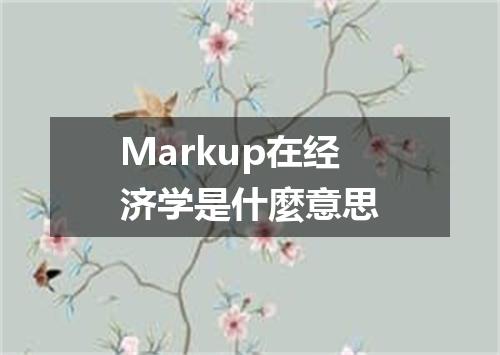 Markup在经济学是什麼意思