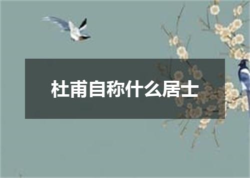 杜甫自称什么居士