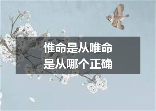 惟命是从唯命是从哪个正确