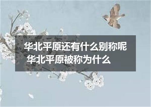 华北平原还有什么别称呢 华北平原被称为什么