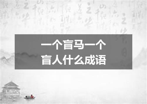 一个盲马一个盲人什么成语