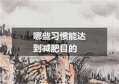 哪些习惯能达到减肥目的