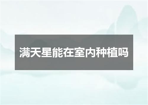 满天星能在室内种植吗