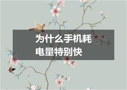 为什么手机耗电量特别快