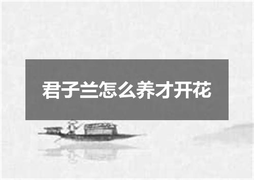 君子兰怎么养才开花