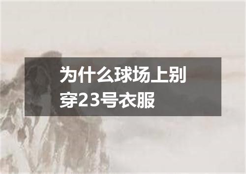 为什么球场上别穿23号衣服