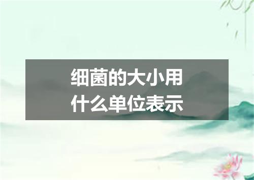 细菌的大小用什么单位表示