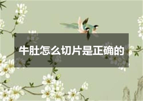 牛肚怎么切片是正确的