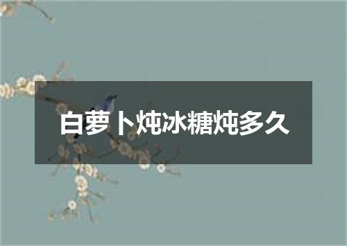 白萝卜炖冰糖炖多久