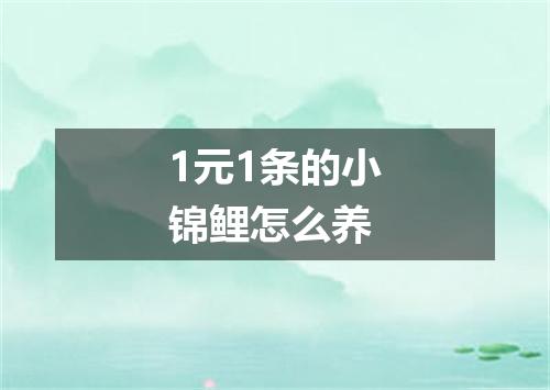 1元1条的小锦鲤怎么养