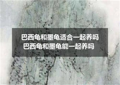 巴西龟和墨龟适合一起养吗 巴西龟和墨龟能一起养吗