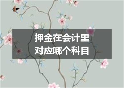 押金在会计里对应哪个科目