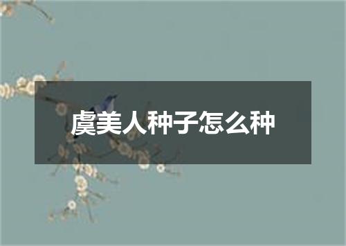 虞美人种子怎么种