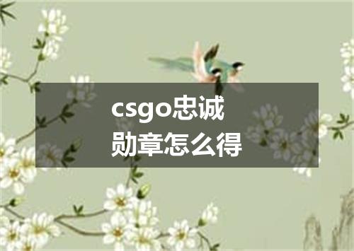 csgo忠诚勋章怎么得