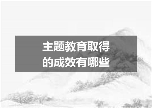 主题教育取得的成效有哪些