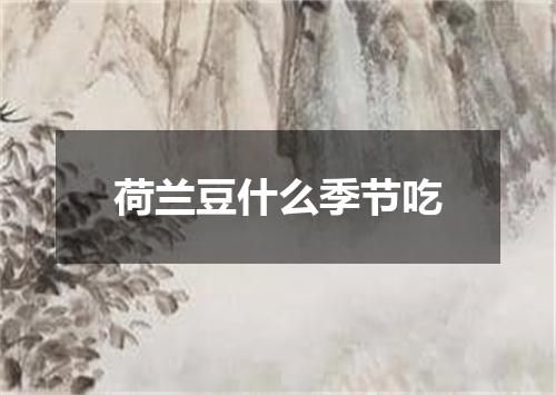 荷兰豆什么季节吃