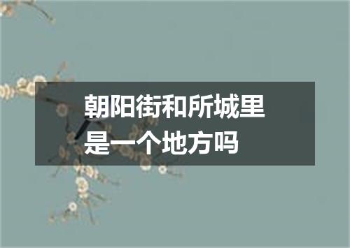 朝阳街和所城里是一个地方吗
