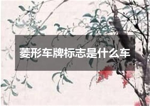 菱形车牌标志是什么车