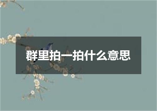 群里拍一拍什么意思