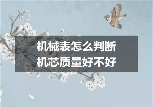 机械表怎么判断机芯质量好不好