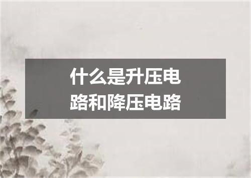 什么是升压电路和降压电路