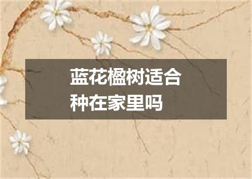 蓝花楹树适合种在家里吗