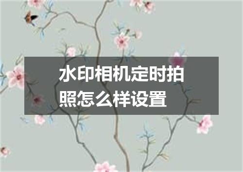 水印相机定时拍照怎么样设置
