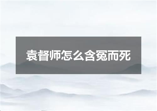 袁督师怎么含冤而死