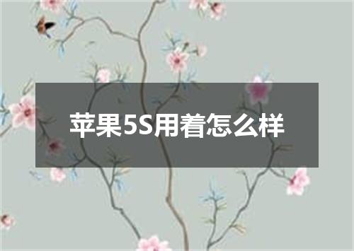 苹果5S用着怎么样