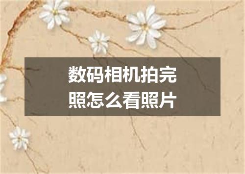 数码相机拍完照怎么看照片