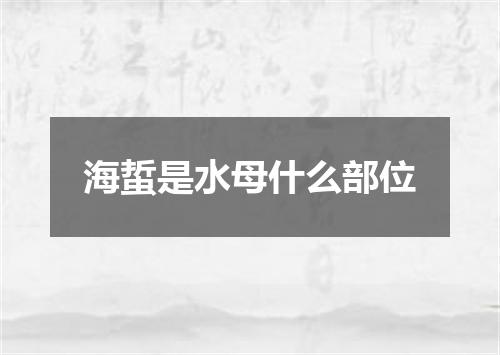 海蜇是水母什么部位