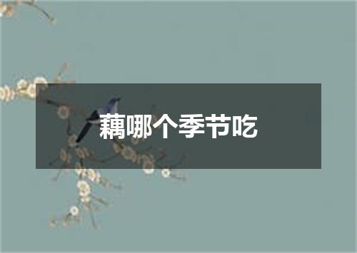 藕哪个季节吃