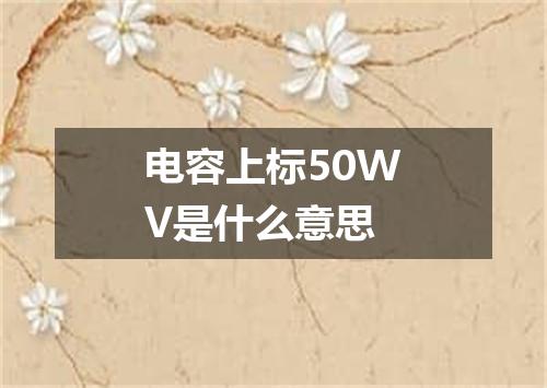 电容上标50WV是什么意思