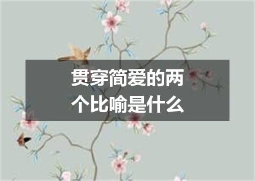 贯穿简爱的两个比喻是什么