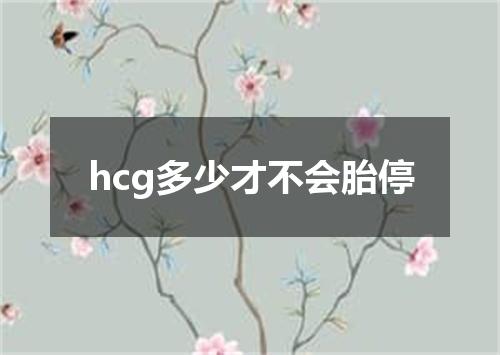 hcg多少才不会胎停