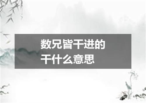 数兄皆干进的干什么意思