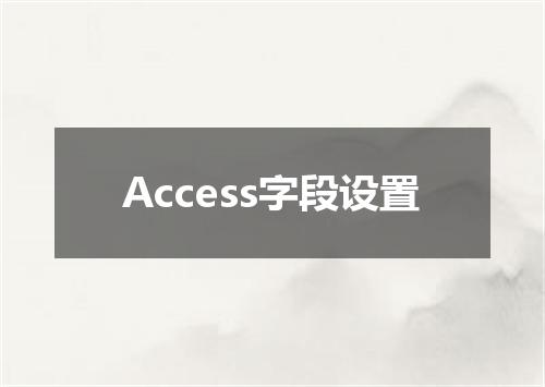 Access字段设置