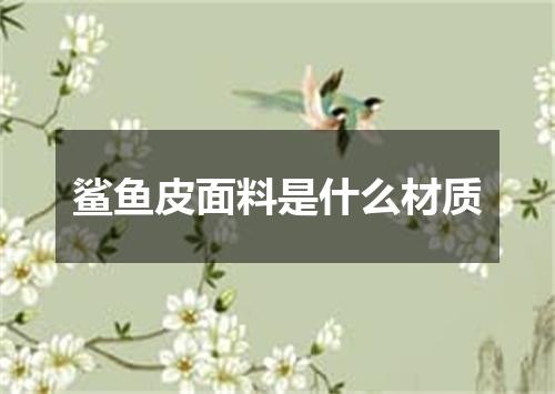 鲨鱼皮面料是什么材质