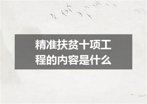 精准扶贫十项工程的内容是什么