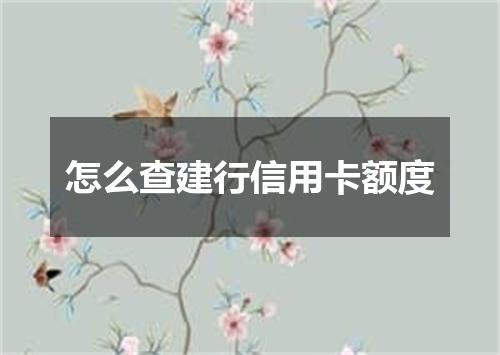 怎么查建行信用卡额度