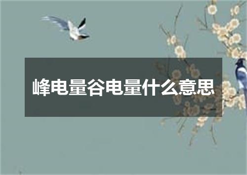 峰电量谷电量什么意思