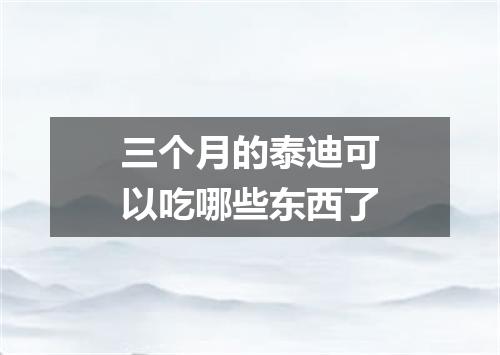 三个月的泰迪可以吃哪些东西了