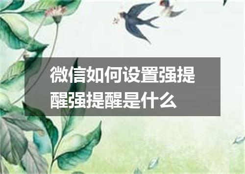 微信如何设置强提醒强提醒是什么