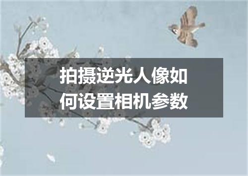 拍摄逆光人像如何设置相机参数