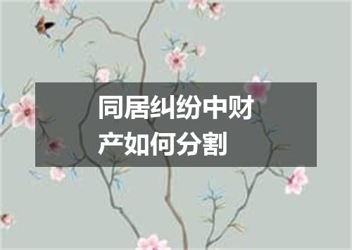 同居纠纷中财产如何分割