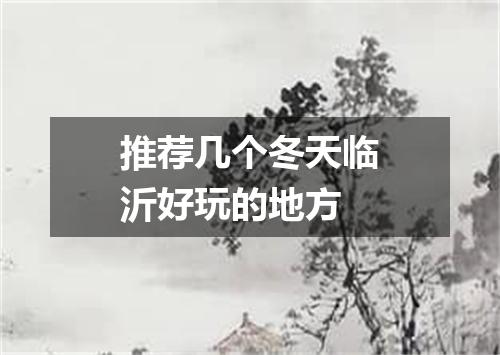 推荐几个冬天临沂好玩的地方