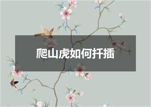 爬山虎如何扦插