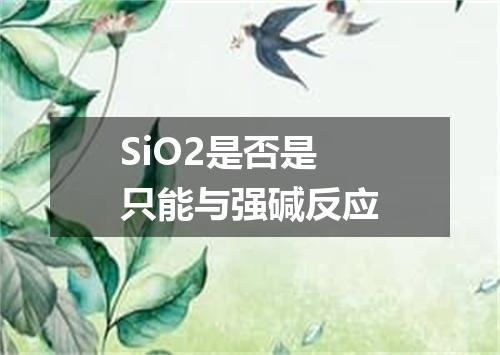 SiO2是否是只能与强碱反应
